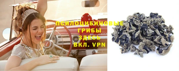 мдпв Ельня