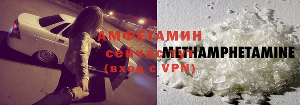 мдпв Ельня