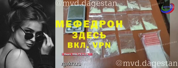 мдпв Ельня