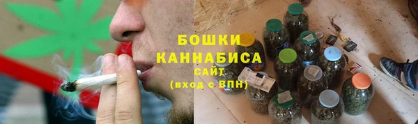 мдпв Ельня