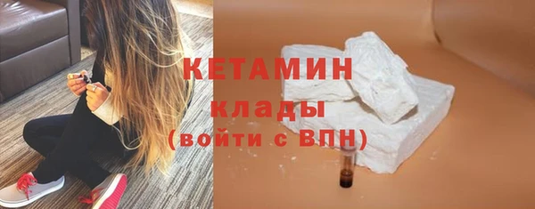 мдпв Ельня