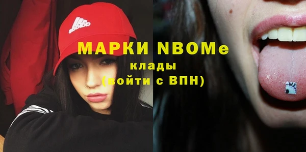 мдпв Ельня