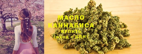 мдпв Ельня