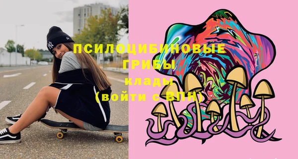 мдпв Ельня