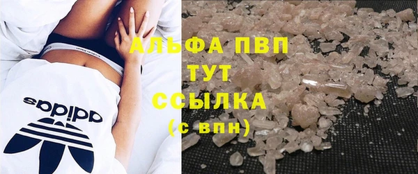 мдпв Ельня
