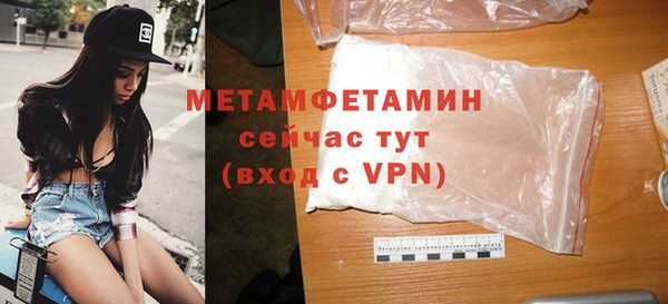 мдпв Ельня