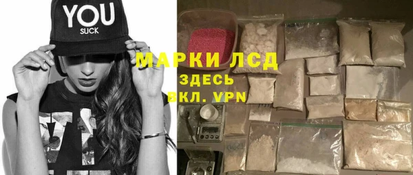 мдпв Ельня
